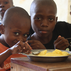 School meals (2)300